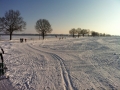 Foto 1 (2)